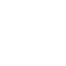 Automobilistico